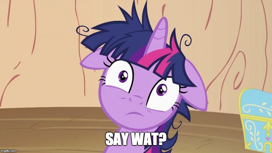 Messy Twilight Sparkle | SAY WAT? | image tagged in messy twilight sparkle | made w/ Imgflip meme maker