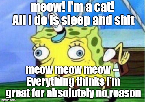 Gotta admit its true though, lol! | meow! I'm a cat! All I do is sleep and shit; meow meow meow -- Everything thinks I'm great for absolutely no reason | image tagged in memes,mocking spongebob | made w/ Imgflip meme maker