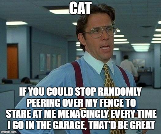 That Would Be Great | CAT; IF YOU COULD STOP RANDOMLY PEERING OVER MY FENCE TO STARE AT ME MENACINGLY EVERY TIME I GO IN THE GARAGE, THAT'D BE GREAT | image tagged in memes,that would be great | made w/ Imgflip meme maker