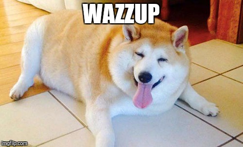 WAZZUP | image tagged in doge | made w/ Imgflip meme maker