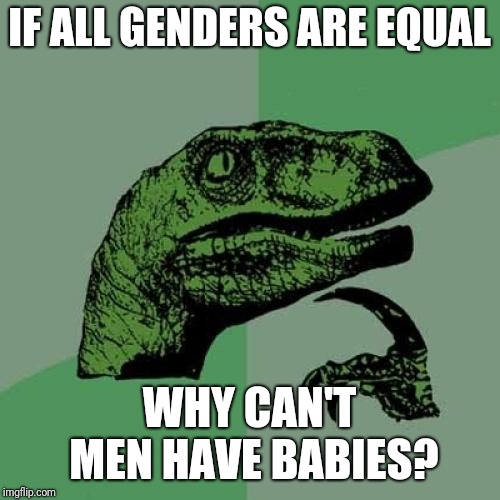 Philosoraptor | IF ALL GENDERS ARE EQUAL; WHY CAN'T MEN HAVE BABIES? | image tagged in memes,philosoraptor | made w/ Imgflip meme maker