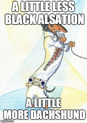 A LITTLE LESS BLACK ALSATION; A LITTLE MORE DACHSHUND | image tagged in doge | made w/ Imgflip meme maker