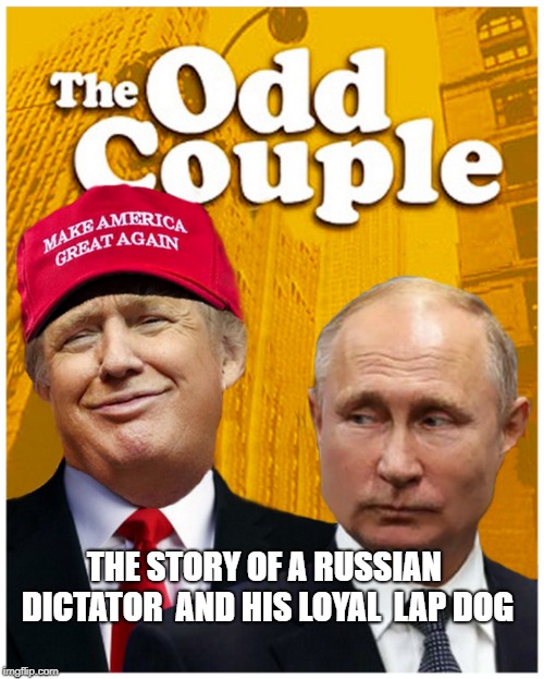 THE USEFUL IDIOT | THE STORY OF A RUSSIAN DICTATOR 
AND HIS LOYAL  LAP DOG | image tagged in president trump,trump putin,vladimir putin,crime,invasion | made w/ Imgflip meme maker