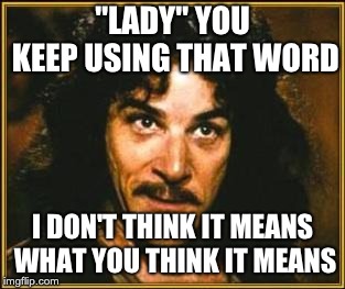 princess bride | "LADY" YOU KEEP USING THAT WORD; I DON'T THINK IT MEANS WHAT YOU THINK IT MEANS | image tagged in princess bride | made w/ Imgflip meme maker