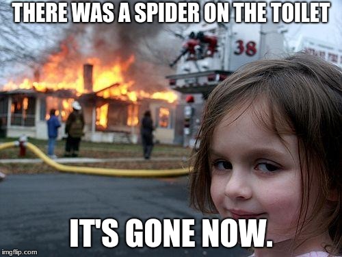 Disaster Girl Meme | THERE WAS A SPIDER ON THE TOILET; IT'S GONE NOW. | image tagged in memes,disaster girl | made w/ Imgflip meme maker