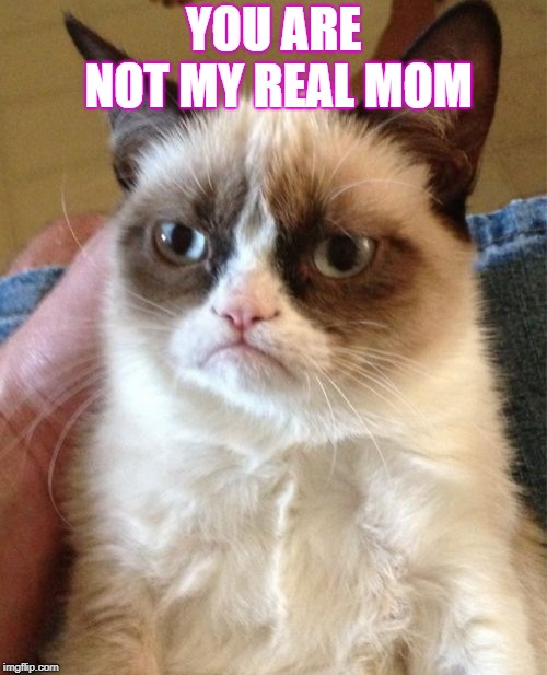 Grumpy Cat | YOU ARE NOT MY REAL MOM | image tagged in memes,grumpy cat | made w/ Imgflip meme maker