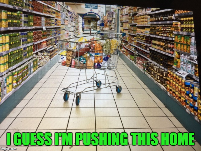 Grocery cart in aisle | I GUESS I'M PUSHING THIS HOME | image tagged in grocery cart in aisle | made w/ Imgflip meme maker