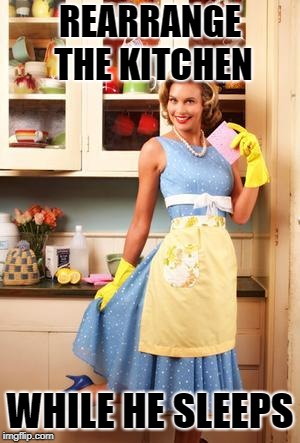Happy House Wife |  REARRANGE THE KITCHEN; WHILE HE SLEEPS | image tagged in happy house wife | made w/ Imgflip meme maker