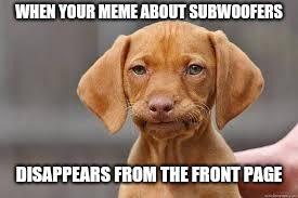 Sad and lonely, searching for another good pun to make a meme | WHEN YOUR MEME ABOUT SUBWOOFERS; DISAPPEARS FROM THE FRONT PAGE | image tagged in disappointed dog,memes,sad,dissapointed,dissapointed puppy,meme | made w/ Imgflip meme maker