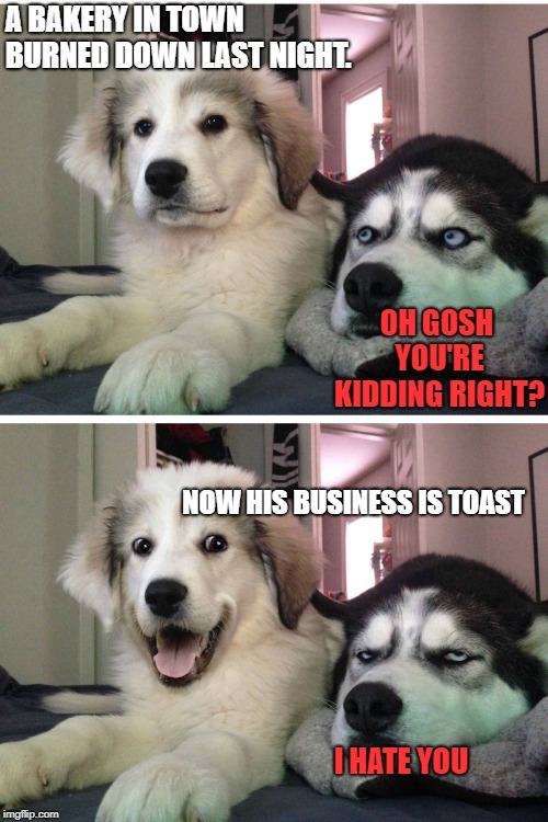 He got the husky for once |  A BAKERY IN TOWN BURNED DOWN LAST NIGHT. OH GOSH YOU'RE KIDDING RIGHT? NOW HIS BUSINESS IS TOAST; I HATE YOU | image tagged in bad pun dogs | made w/ Imgflip meme maker