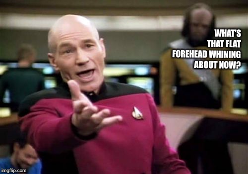 Showing nothing but respect for the cap’n | WHAT’S THAT FLAT FOREHEAD WHINING ABOUT NOW? | image tagged in memes,picard wtf | made w/ Imgflip meme maker
