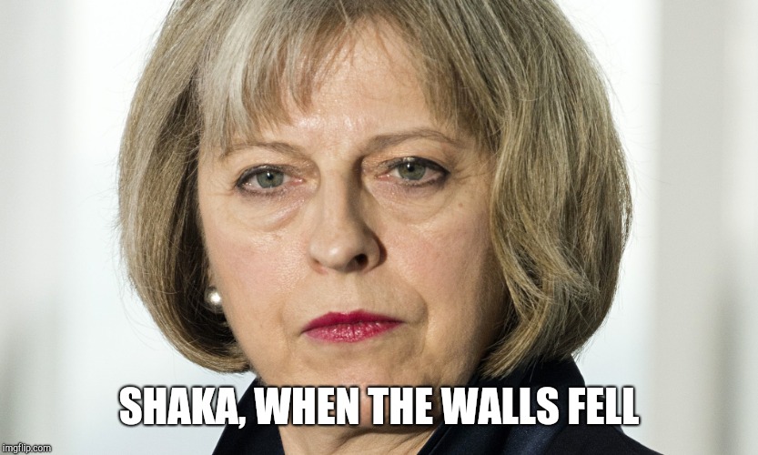 theresa may | SHAKA, WHEN THE WALLS FELL | image tagged in theresa may | made w/ Imgflip meme maker