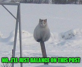 NO...I'LL JUST BALANCE ON THIS POST | made w/ Imgflip meme maker