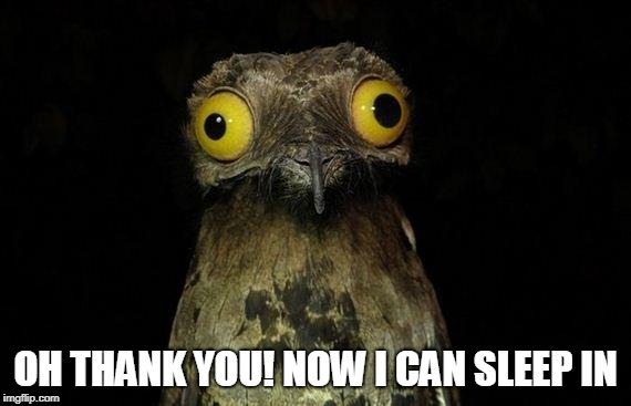 Weird Stuff I Do Potoo Meme | OH THANK YOU! NOW I CAN SLEEP IN | image tagged in memes,weird stuff i do potoo | made w/ Imgflip meme maker
