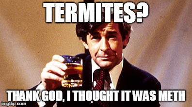 TERMITES? THANK GOD, I THOUGHT IT WAS METH | made w/ Imgflip meme maker
