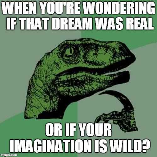 Philosoraptor Meme | WHEN YOU'RE WONDERING IF THAT DREAM WAS REAL; OR IF YOUR IMAGINATION IS WILD? | image tagged in memes,philosoraptor | made w/ Imgflip meme maker