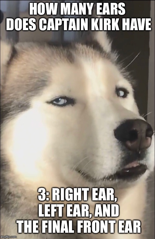 Dad Joke :D | HOW MANY EARS DOES CAPTAIN KIRK HAVE; 3: RIGHT EAR, LEFT EAR, AND THE FINAL FRONT EAR | image tagged in star trek,captain kirk,dog | made w/ Imgflip meme maker