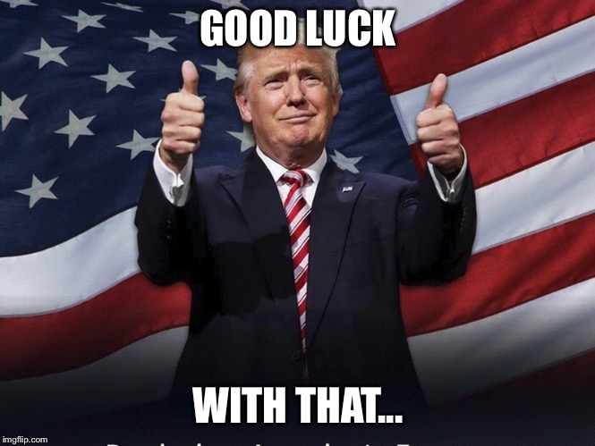 Donald Trump Thumbs Up | GOOD LUCK WITH THAT... | image tagged in donald trump thumbs up | made w/ Imgflip meme maker