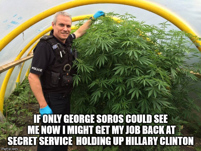 Police Weed Cannabis Stoned  | IF ONLY GEORGE SOROS COULD SEE ME NOW I MIGHT GET MY JOB BACK AT SECRET SERVICE  HOLDING UP HILLARY CLINTON | image tagged in police weed cannabis stoned | made w/ Imgflip meme maker