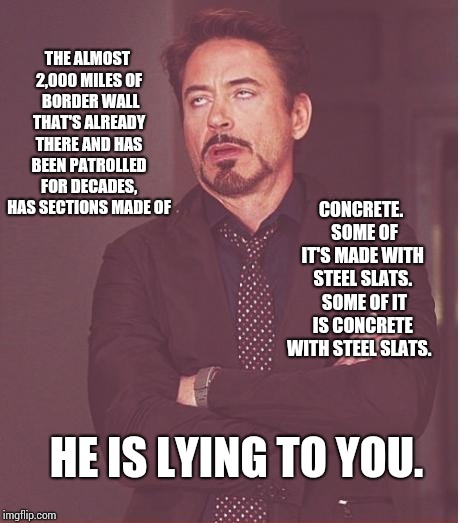 Sick Of The Lies. | THE ALMOST 2,000 MILES OF  BORDER WALL THAT'S ALREADY THERE AND HAS BEEN PATROLLED FOR DECADES, HAS SECTIONS MADE OF; CONCRETE.  SOME OF IT'S MADE WITH STEEL SLATS.  SOME OF IT IS CONCRETE WITH STEEL SLATS. HE IS LYING TO YOU. | image tagged in memes,face you make robert downey jr,trump unfit unqualified dangerous,lock him up,government corruption,trump lies | made w/ Imgflip meme maker