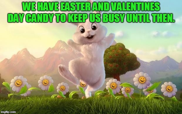 Easter-Bunny Defense | WE HAVE EASTER AND VALENTINES DAY CANDY TO KEEP US BUSY UNTIL THEN. | image tagged in easter-bunny defense | made w/ Imgflip meme maker