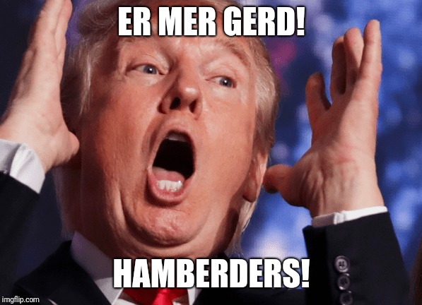 ER MER GERD! HAMBERDERS! | ER MER GERD! HAMBERDERS! | image tagged in political meme,donald trump,hamburger,dumb,misspelled | made w/ Imgflip meme maker