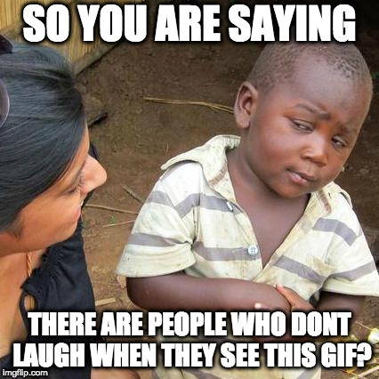 Third World Skeptical Kid Meme | SO YOU ARE SAYING THERE ARE PEOPLE WHO DONT LAUGH WHEN THEY SEE THIS GIF? | image tagged in memes,third world skeptical kid | made w/ Imgflip meme maker