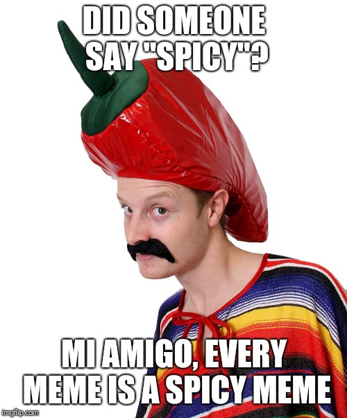 Hot n' Spicy | DID SOMEONE SAY "SPICY"? MI AMIGO, EVERY MEME IS A SPICY MEME | image tagged in hot n' spicy | made w/ Imgflip meme maker