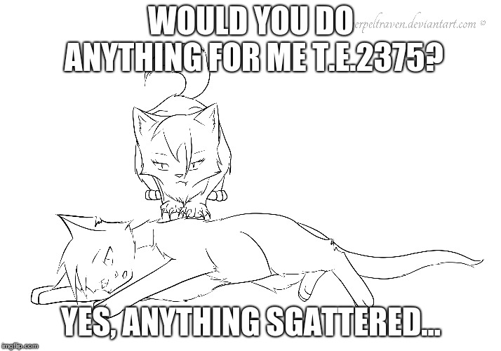 WOULD YOU DO ANYTHING FOR ME T.E.2375? YES, ANYTHING SGATTERED... | image tagged in cats,hurt,tired | made w/ Imgflip meme maker
