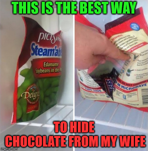 I like to call it freezer camouflage.  | THIS IS THE BEST WAY; TO HIDE CHOCOLATE FROM MY WIFE | image tagged in memes,chocolate,pms,hide and seek,camouflage,secret | made w/ Imgflip meme maker