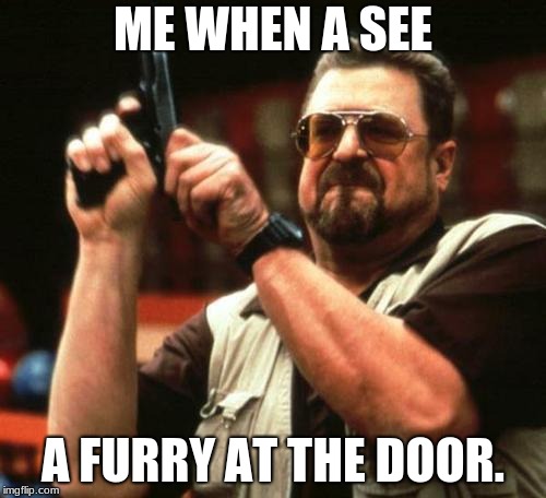 gun | ME WHEN A SEE; A FURRY AT THE DOOR. | image tagged in gun | made w/ Imgflip meme maker