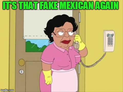 Consuela Meme | IT'S THAT FAKE MEXICAN AGAIN | image tagged in memes,consuela | made w/ Imgflip meme maker