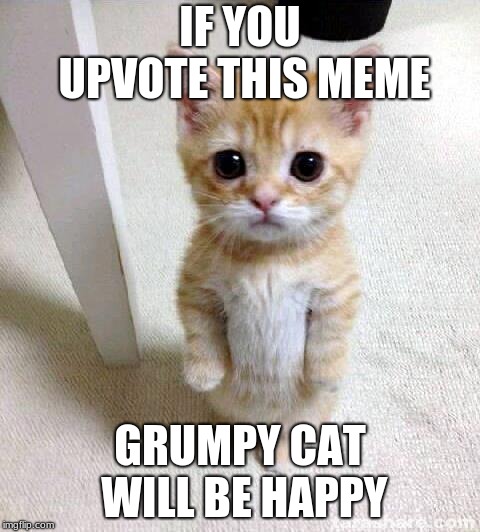 Cute Cat Meme | IF YOU UPVOTE THIS MEME; GRUMPY CAT WILL BE HAPPY | image tagged in memes,cute cat | made w/ Imgflip meme maker