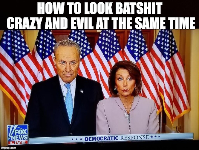pelosi schumer | HOW TO LOOK BATSHIT CRAZY AND EVIL AT THE SAME TIME | image tagged in pelosi schumer | made w/ Imgflip meme maker
