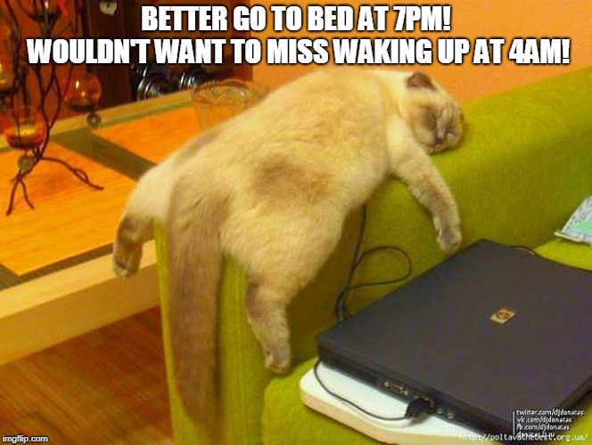 sleeping cat | BETTER GO TO BED AT 7PM! WOULDN'T WANT TO MISS WAKING UP AT 4AM! | image tagged in sleeping cat | made w/ Imgflip meme maker
