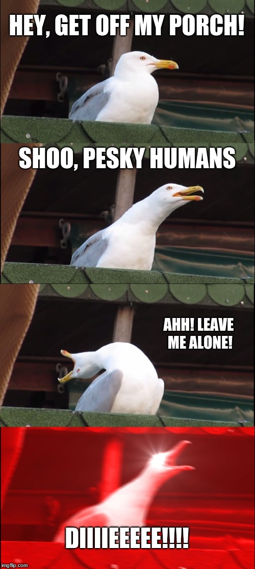 Inhaling Seagull Meme | HEY, GET OFF MY PORCH! SHOO, PESKY HUMANS; AHH! LEAVE ME ALONE! DIIIIEEEEE!!!! | image tagged in memes,inhaling seagull | made w/ Imgflip meme maker