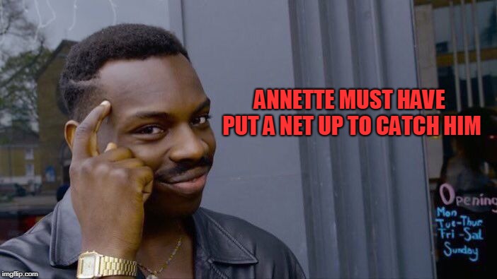 Roll Safe Think About It Meme | ANNETTE MUST HAVE PUT A NET UP TO CATCH HIM | image tagged in memes,roll safe think about it | made w/ Imgflip meme maker