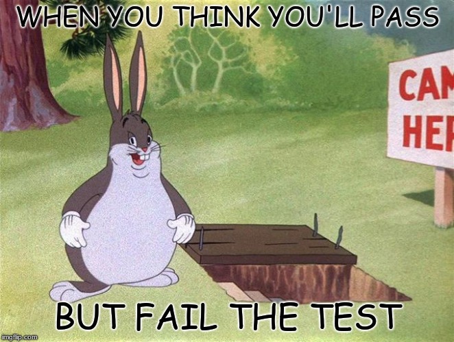 Big Chungus | WHEN YOU THINK YOU'LL PASS; BUT FAIL THE TEST | image tagged in big chungus | made w/ Imgflip meme maker