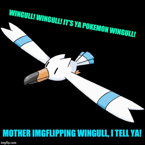 WINGULL! WINGULL! IT'S YA POKEMON WINGULL! MOTHER IMGFLIPPING WINGULL, I TELL YA! | image tagged in hydro the wingull | made w/ Imgflip meme maker