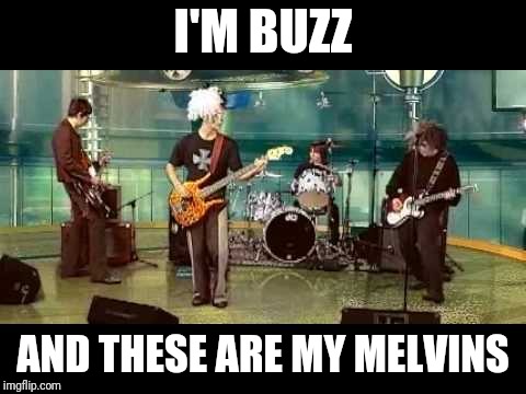 I'M BUZZ; AND THESE ARE MY MELVINS | made w/ Imgflip meme maker