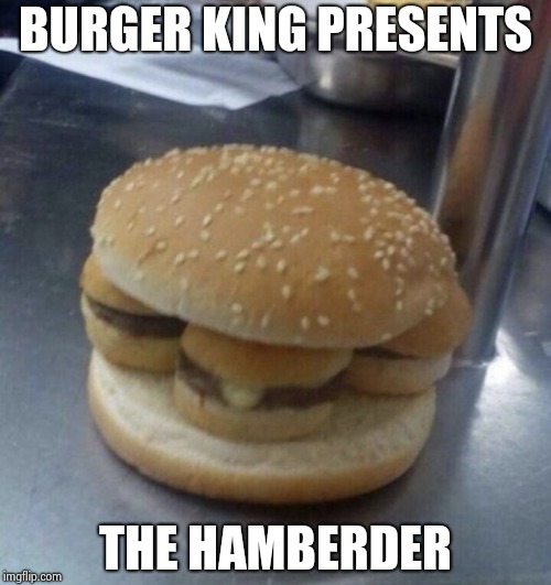 Nothing burger | BURGER KING PRESENTS THE HAMBERDER | image tagged in nothing burger | made w/ Imgflip meme maker