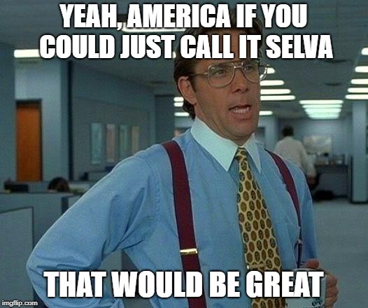That Would Be Great Meme | YEAH, AMERICA IF YOU COULD JUST CALL IT SELVA; THAT WOULD BE GREAT | image tagged in memes,that would be great | made w/ Imgflip meme maker