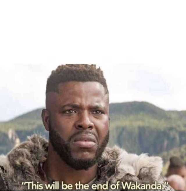 End of Wakanda Blank Meme Template