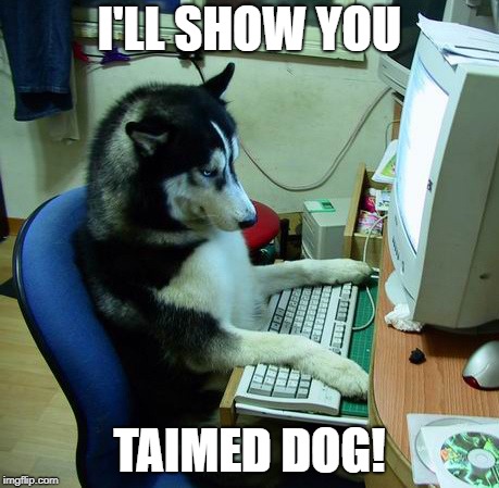 I Have No Idea What I Am Doing Meme | I'LL SHOW YOU; TAIMED DOG! | image tagged in memes,i have no idea what i am doing | made w/ Imgflip meme maker