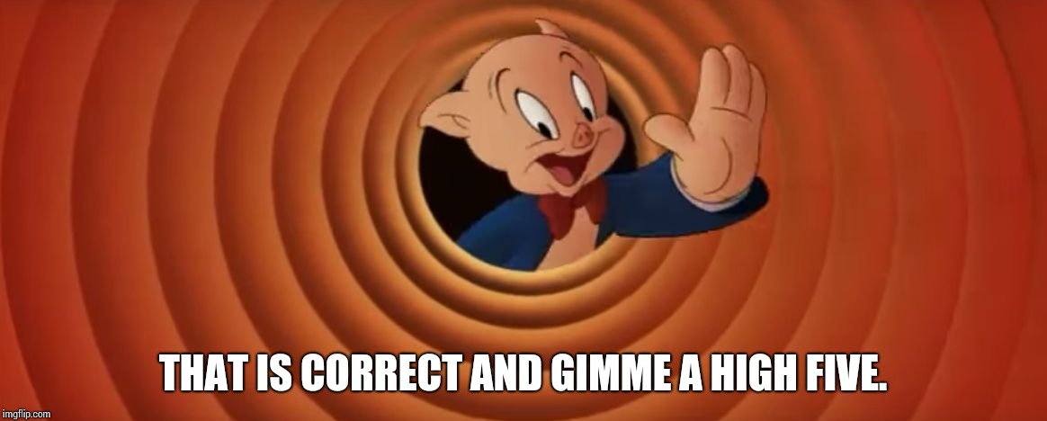 Porky Pig That's All Folks | THAT IS CORRECT AND GIMME A HIGH FIVE. | image tagged in porky pig that's all folks | made w/ Imgflip meme maker