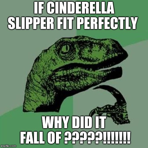 raptor | IF CINDERELLA SLIPPER FIT PERFECTLY; WHY DID IT FALL OF ?????!!!!!!! | image tagged in raptor | made w/ Imgflip meme maker