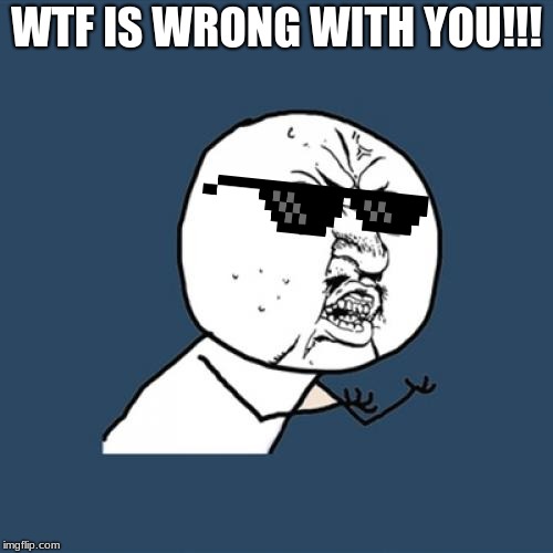 Y U No Meme | WTF IS WRONG WITH YOU!!! | image tagged in memes,y u no | made w/ Imgflip meme maker