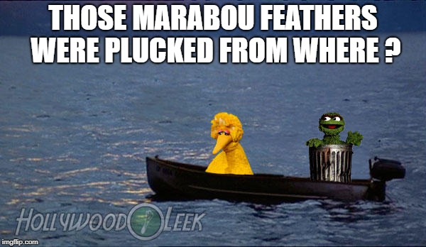 THOSE MARABOU FEATHERS WERE PLUCKED FROM WHERE ? | made w/ Imgflip meme maker