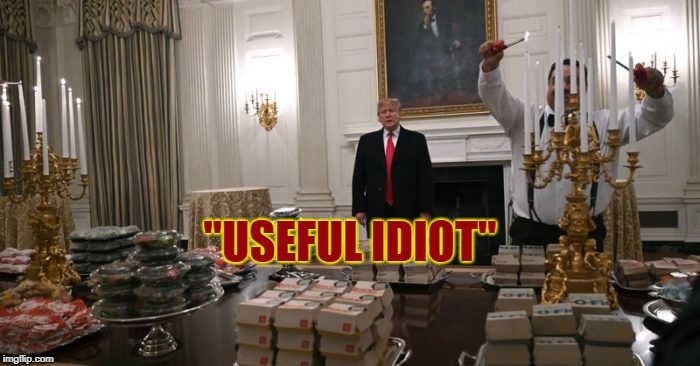 "USEFUL IDIOT" | image tagged in collusion,trump,useful idiot,putin,peetape,asshole | made w/ Imgflip meme maker
