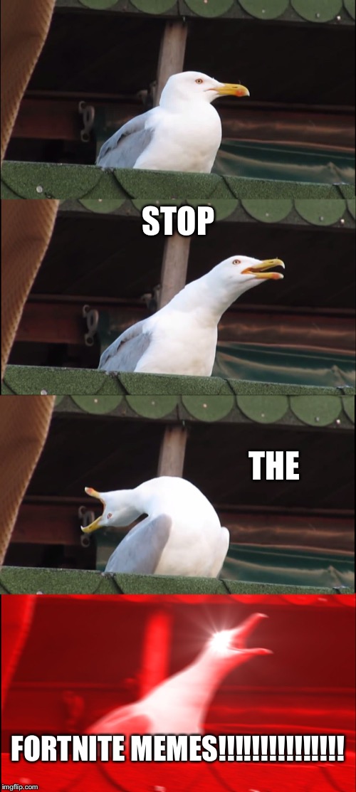 Inhaling Seagull Meme | STOP THE FORTNITE MEMES!!!!!!!!!!!!!!! | image tagged in memes,inhaling seagull | made w/ Imgflip meme maker